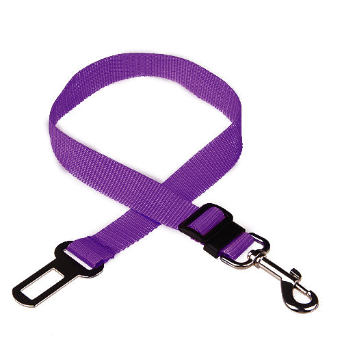 Safety leash