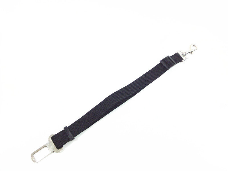 Safety leash