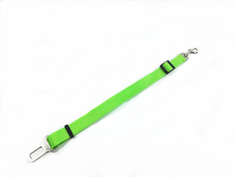 Safety leash