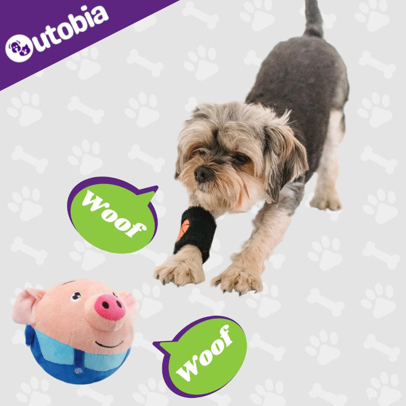 World's First Talking & Bouncing Plush