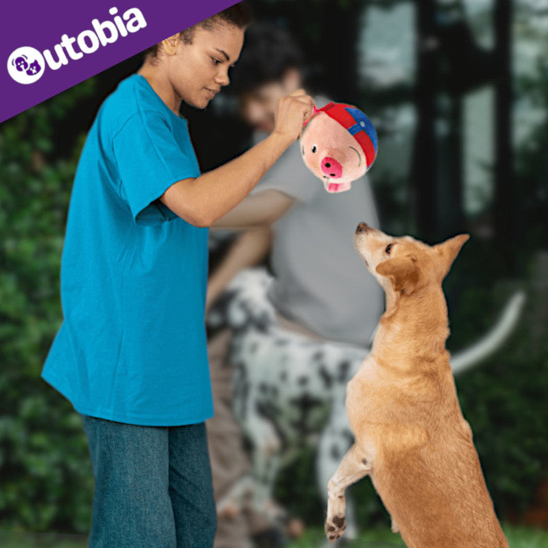 World's First Talking & Bouncing Plush