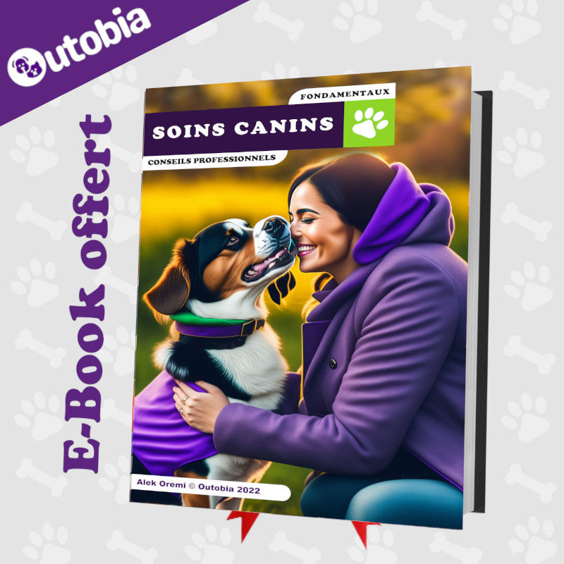 World's First Talking & Bouncing Plush